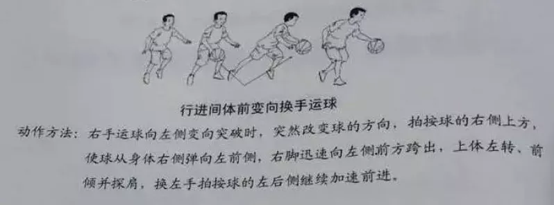 【2018上】【小学】【教育知识与能力】【真题】 - 图7