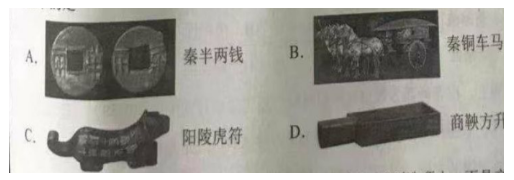 【2019下】【中学】【综合素质】【真题】 - 图1