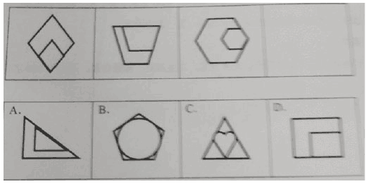 【2019下】【幼儿】【综合素质】【真题】 - 图2