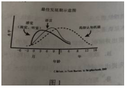 【2019上】【幼儿】【综合素质】【真题】 - 图1