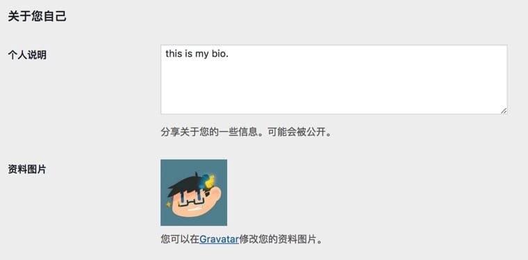 WordPress 基本设置 - 图14