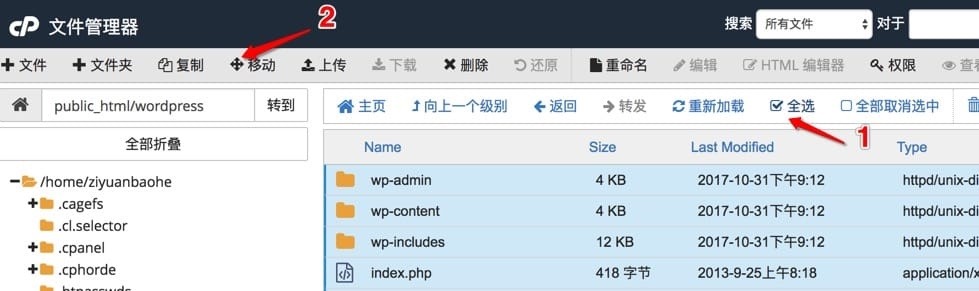 在 cPanel 上安装 WordPress - 图12