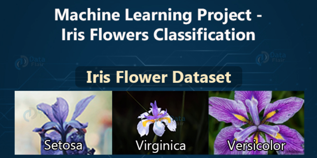 机器学习入门项目 - 图1