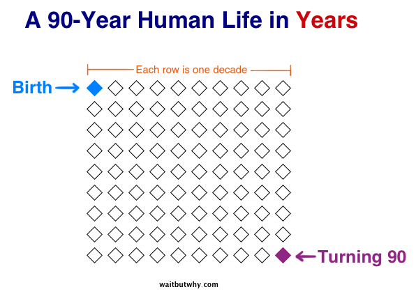 Life Graph - 图1