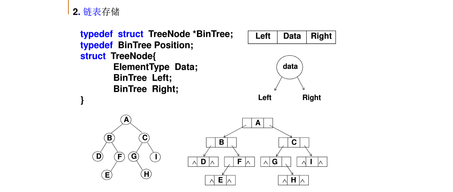 tree7.jpg