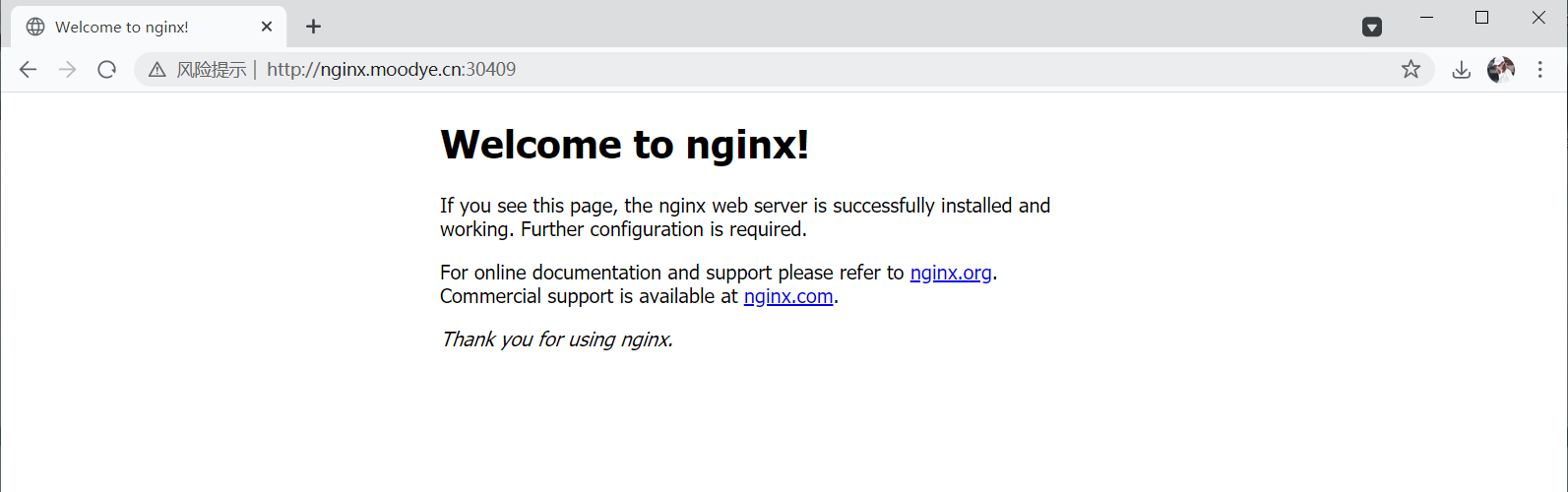 Kubernetes之服务暴露(Service Ingress) - 图14