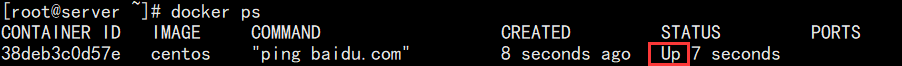 Docker容器管理 - 图2