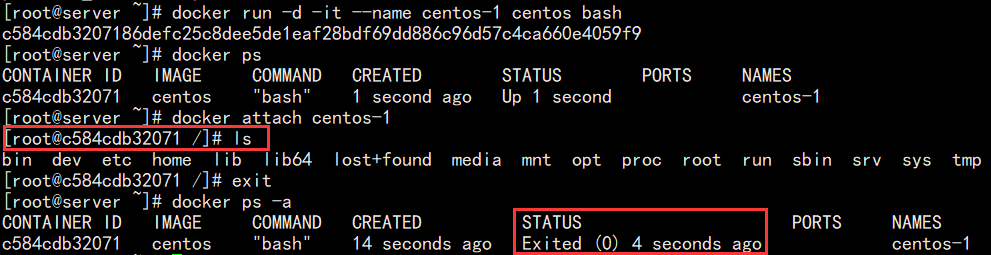 Docker容器管理 - 图3