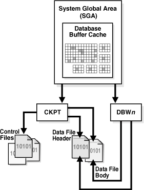 oracle   系统进程 - 图1