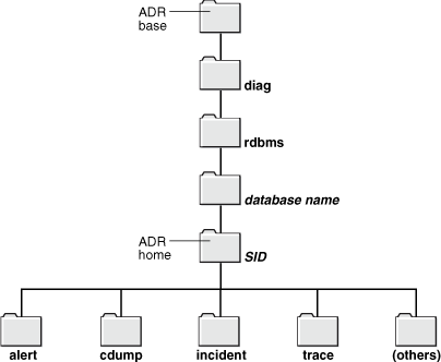 ADR报警日志和跟踪文件路径 - 图1