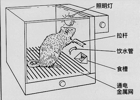 译文：作为设计师，无限滚动的FEED流是否应受到限制？ - 图8