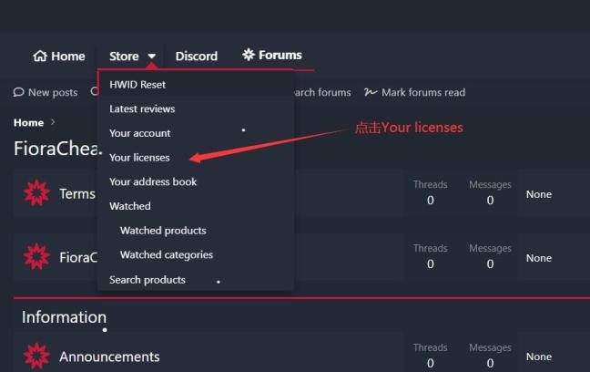 菲拉-Fiora辅助注册激活下载使用教程 - 图6