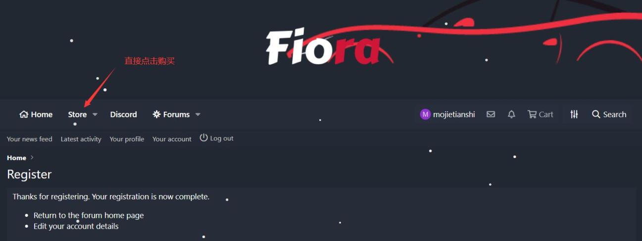 菲拉-Fiora辅助注册激活下载使用教程 - 图2