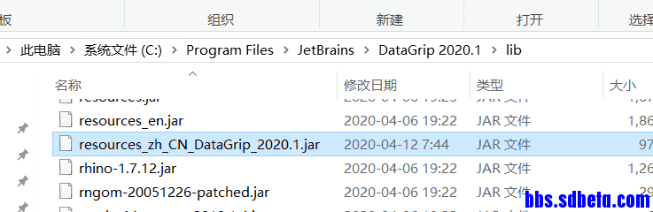 JetBrains DataGrip 2020.3.1汉化版 授权激活教程 - 图8