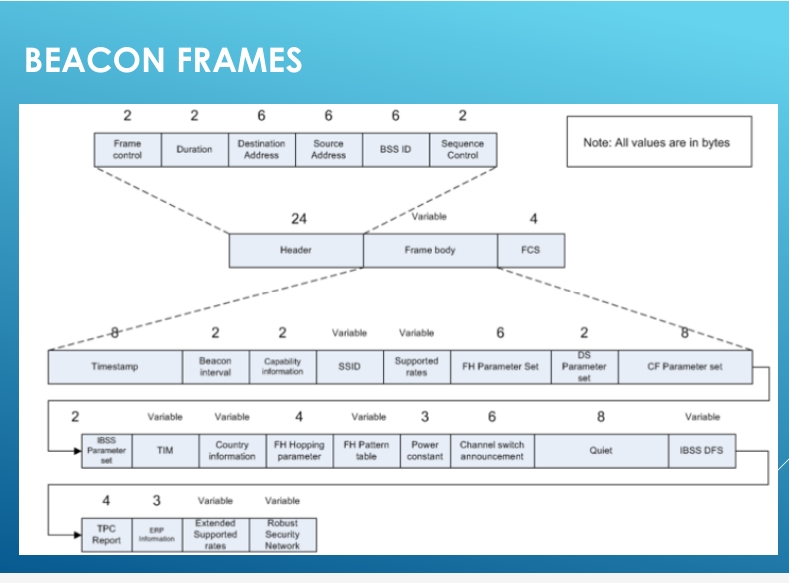 MANAGEMENT FRAME 管理帧 - 图3