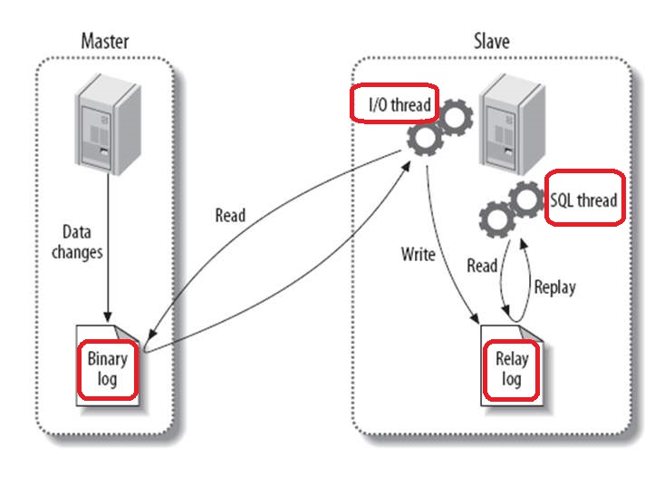 7. MySQL复制 - 图1