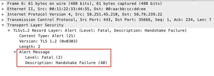 19 _ TLS的各种特性：TLS握手为什么会失败？ - 图7