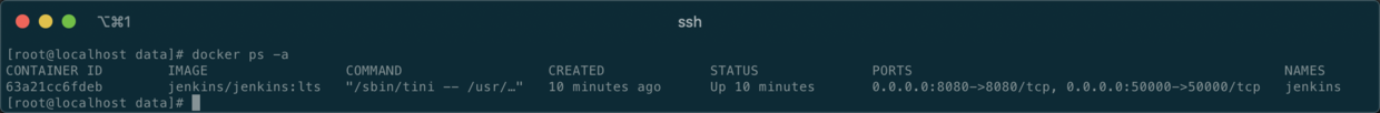 Jenkins Docker 安装 - 图1