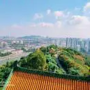23 - 图37