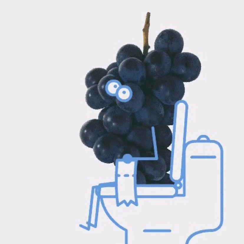 10 - 图13