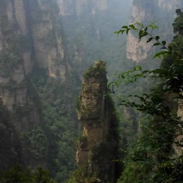 2 - 图14