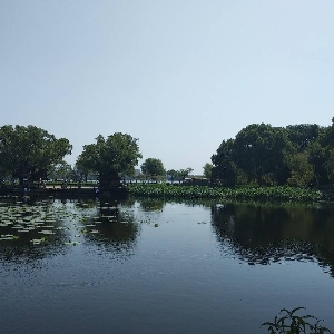 39 - 图12