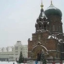 21 - 图14