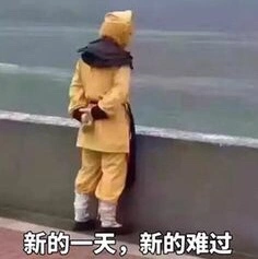 28 - 图14