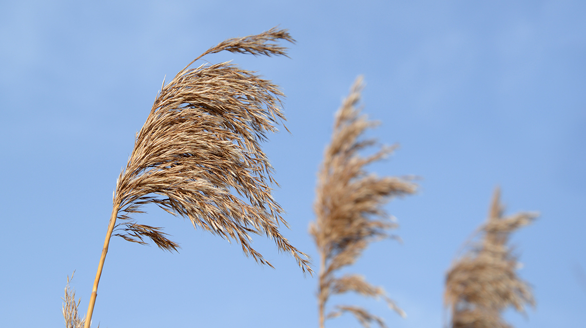 12 | 领域建模：如何用事件风暴构建领域模型？ - 图1