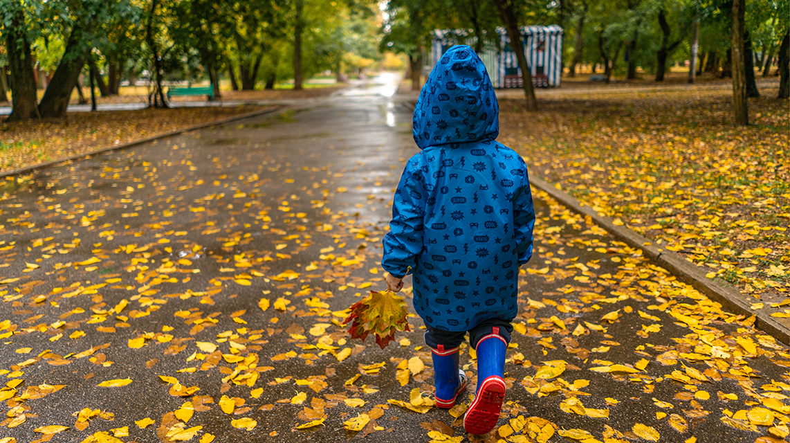 02 | 领域、子域、核心域、通用域和支撑域 - 图2