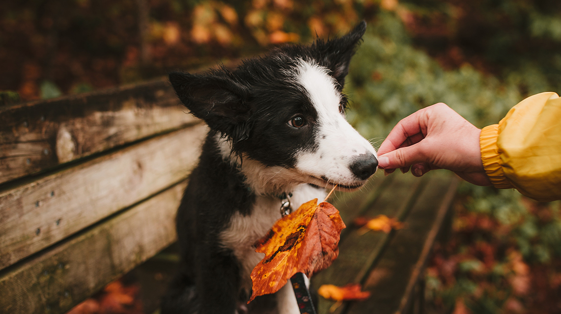 05 | 聚合和聚合根:怎样设计聚合? - 图1