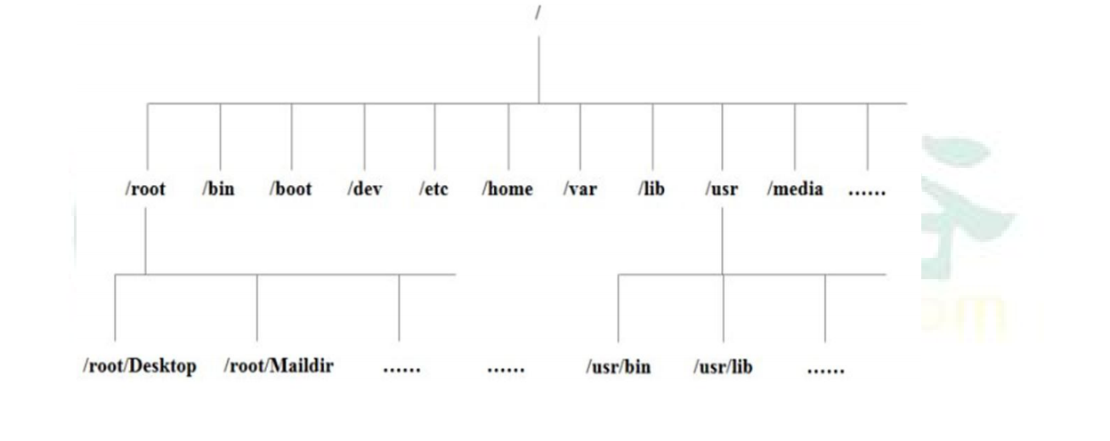 2. Linux 介绍、安装 - 图6