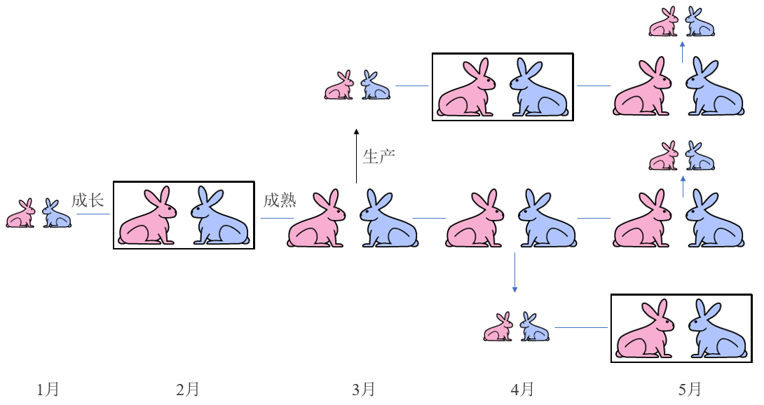图 3.3 兔子繁殖规律.png