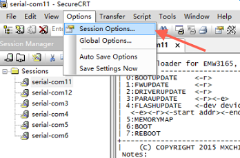 Session_Option.png