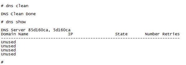 cli_dnsclean.png
