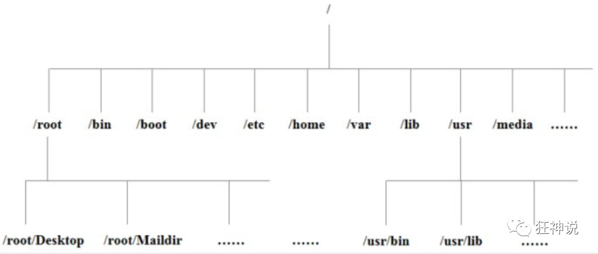 Linux - 图6