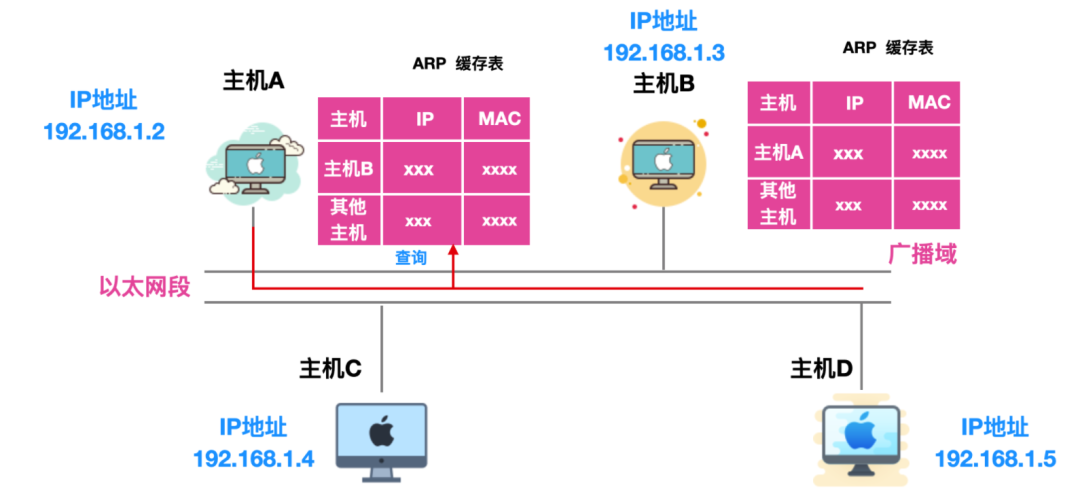 ARP协议 - 图7