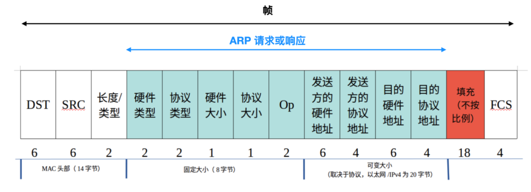 ARP协议 - 图9