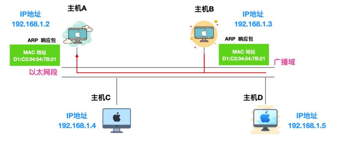 ARP协议 - 图5