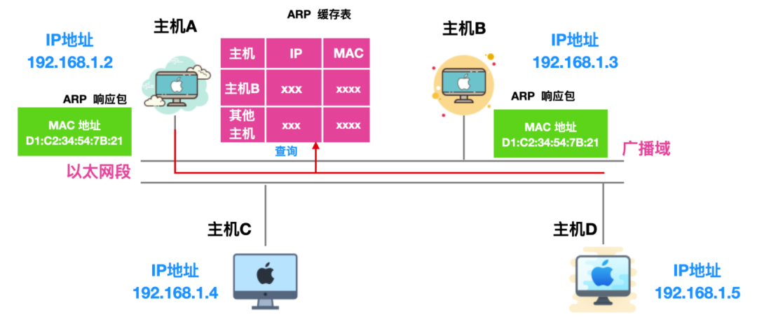 ARP协议 - 图6