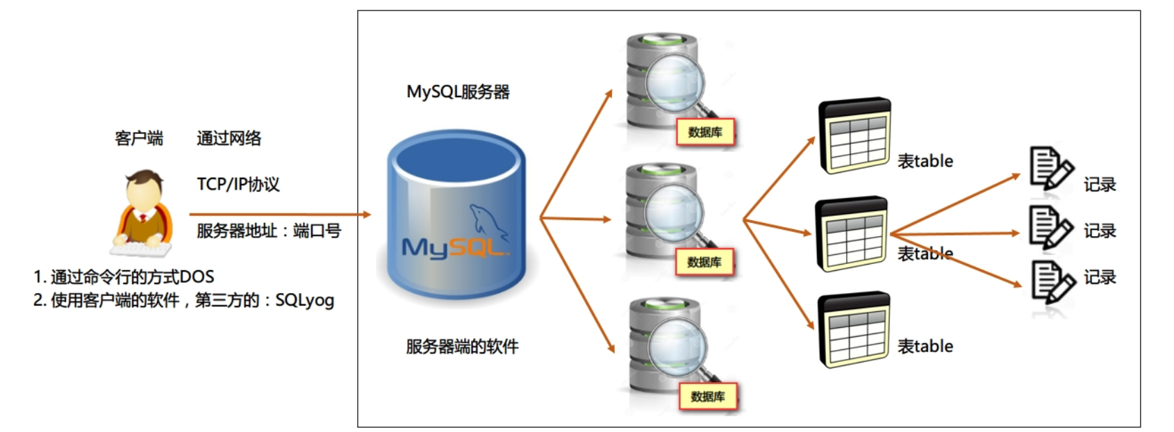 3、MySQL基本操作 - 图1