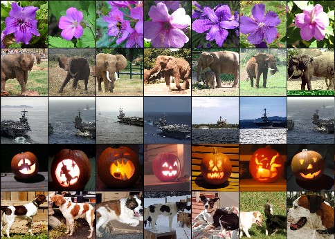 4824-imagenet-classification-with-deep-convolutional-neural-networks-已转档 - 图6
