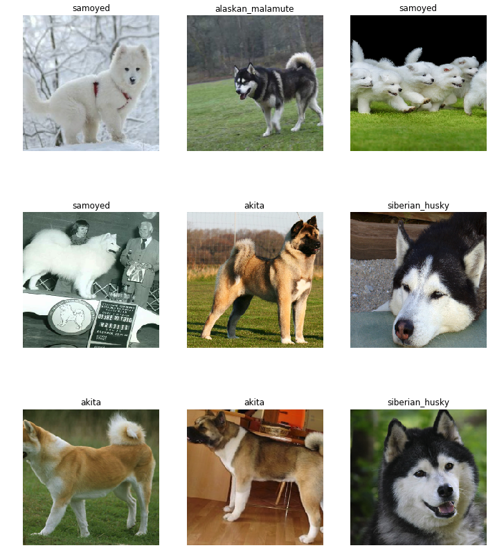 迁移学习：使用Fast.AI库对4种北极犬进行分类 - 图2