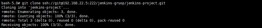 Gitlab+Jenkins 配置 SSH 及例操作 - 图7