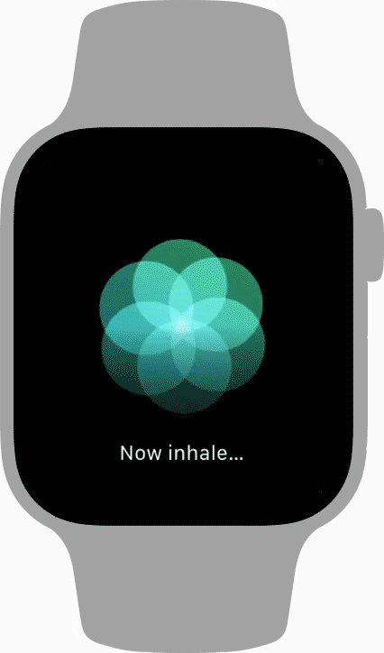 animation.gif
