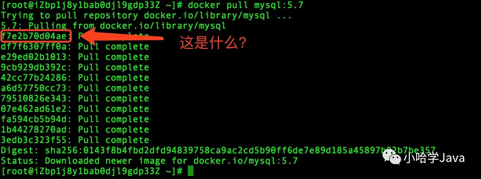 Docker-Image - 图3