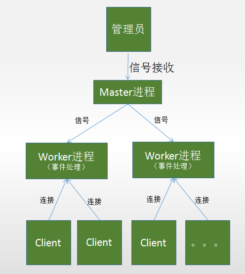 01.[Nginx]概念 - 图2