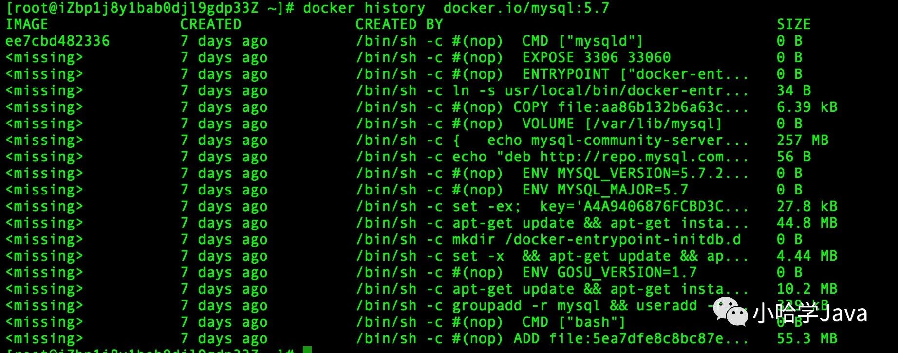 Docker-Image - 图9