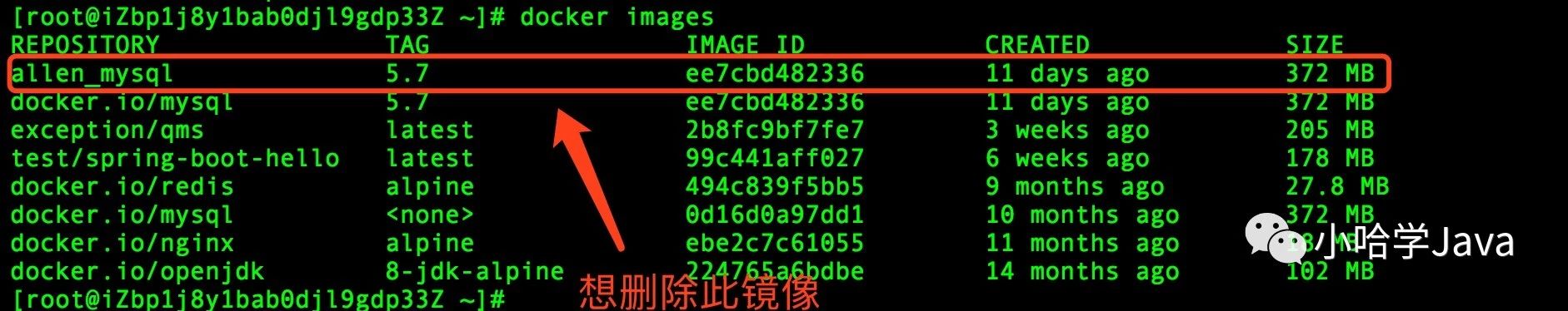 Docker-Image - 图13