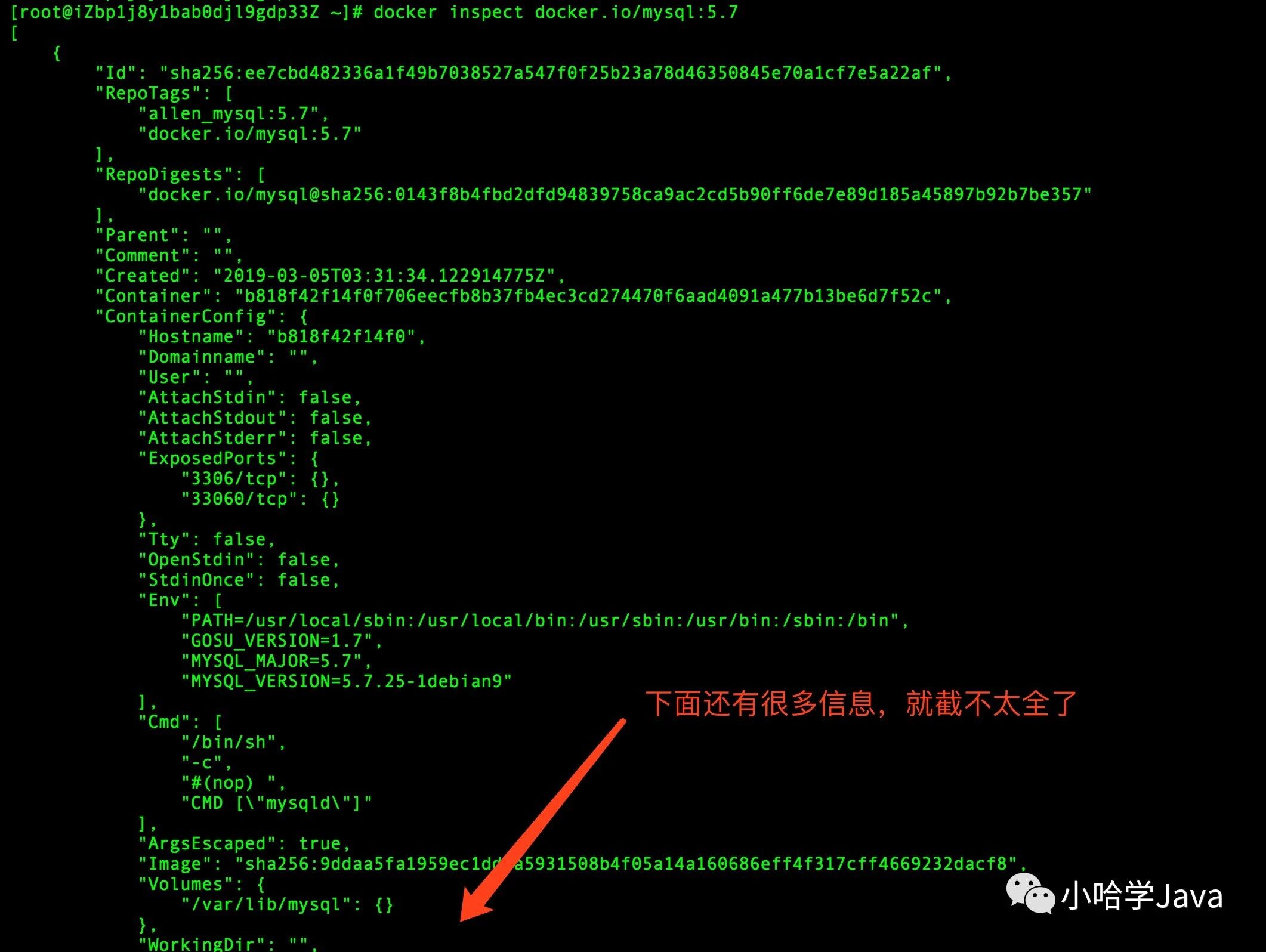 Docker-Image - 图7
